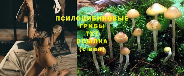 прущая мука Гусев